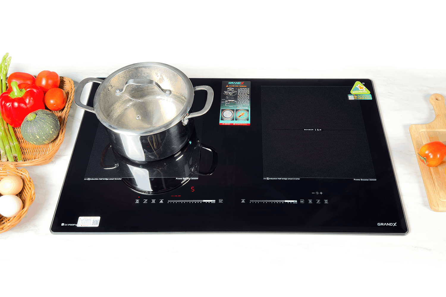 Bếp từ Grandx IP 869Pro