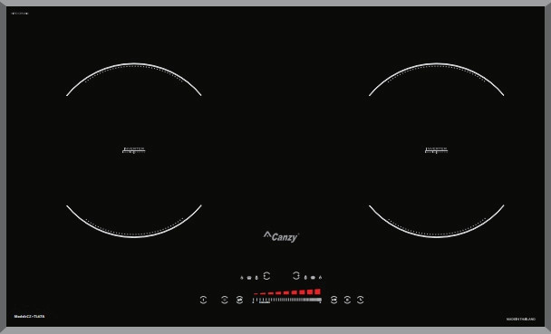 Bếp Từ Canzy CZ TL67A