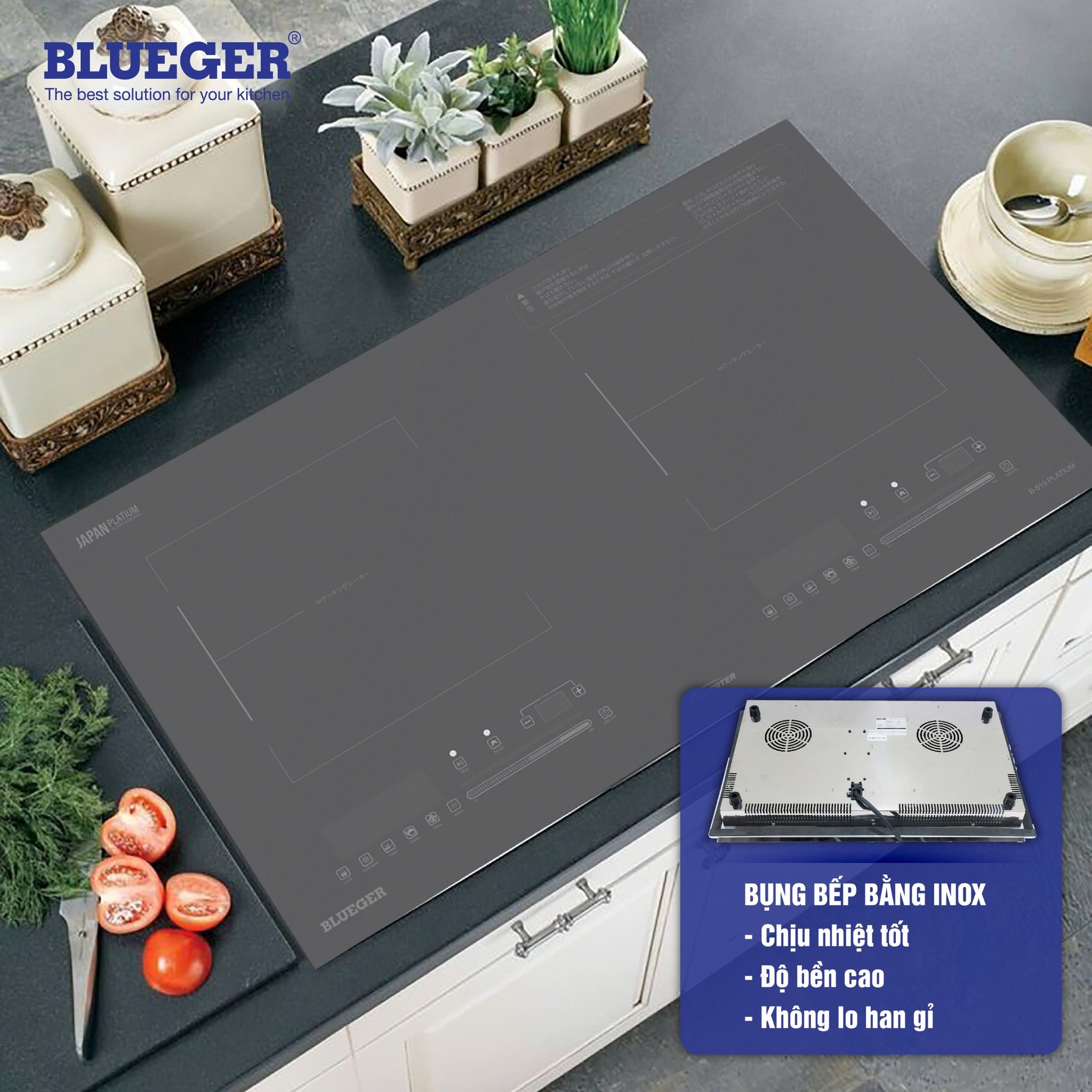 Bếp từ Blueger B819-Platinum