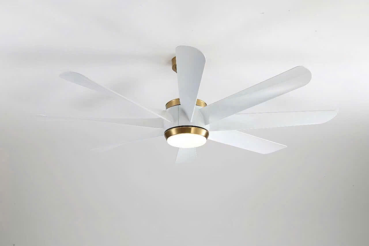 Quạt trần 8 cánh màu trắng - Quạt trần đèn Tâm An